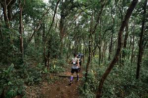 BIB: 
                            <button type="button" onclick="openModal(22795386)" class="btn btn-primary btn-sm float-right btn-popup" data-toggle="modal" data-target=".modal-high-quality">
                        <i class="fas fa-shopping-cart"></i> Add to Cart
                    </button>
                                            <button type="button" onclick="isThisMe(22795386, true)" class="btn btn-success btn-sm float-right btn-popup btn-isme hidden" data-toggle="tooltip" data-placement="bottom" title="นี่คือรูปของคุณใช่ไหม คลิกที่นี่เพื่อเอาเข้าอัลบั้ม">
                        <i class="fas fa-plus"></i> Add to album
                    </button>
                    <button type="button" onclick="isThisMe(22795386, false)" class="btn btn-warning btn-sm float-right btn-popup btn-isnotme hidden">
                        <i class="fas fa-ban"></i> Remove from album
                    </button>